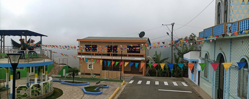 CONTRATACIÓN DEL SERVICIO DE MANO DE OBRA EN PINTURA DE PAREDES INTERIOR Y EXTERIOR DE LA PARROQUIA CAPIRO